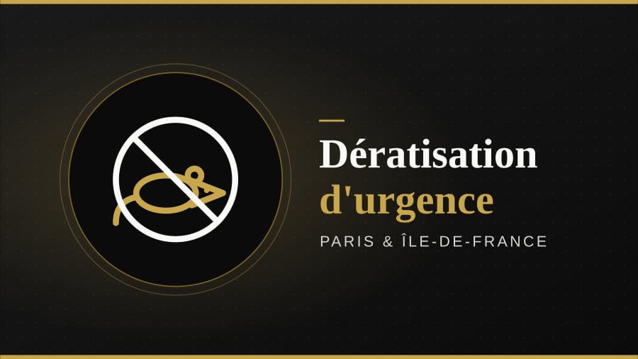 Illustration : dératisation, Paris et Île-de-France