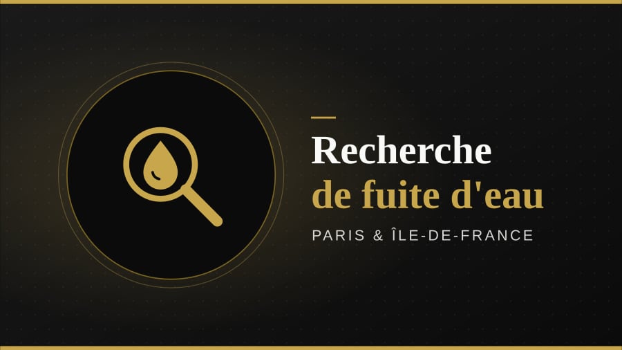Illustration : recherche de fuite d'eau, Paris et Île-de-France