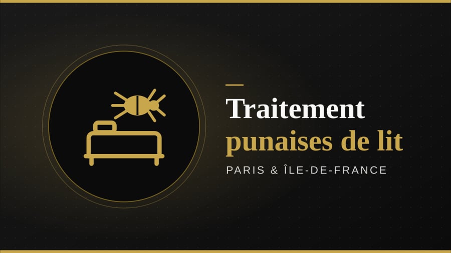 Illustration : traitement des punaises de lit, Paris et Île-de-France